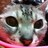 keipanchan's profile image