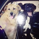 Marie Knott - @smariep7918 - Twitter