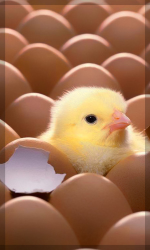 toota922's profile picture. 