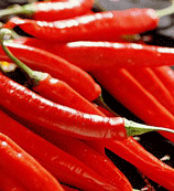 SCobek's profile picture. 