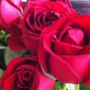 ANA LUCIA SERNA - @sernamorales - Twitter