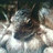squirrel_sammy's profile image