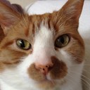 Robert belshaw - @Robo9090 - Twitter