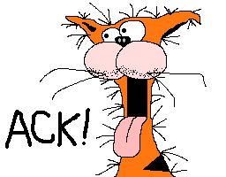 CraigMacbeth's profile picture. Not a frequent twittererer