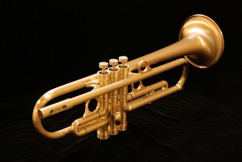 TrumpetFitz653's profile picture. Trumpet player, Chiefs fan, Royals fan, K-State fan! EMAW, BABY!!! Politically Conservative!