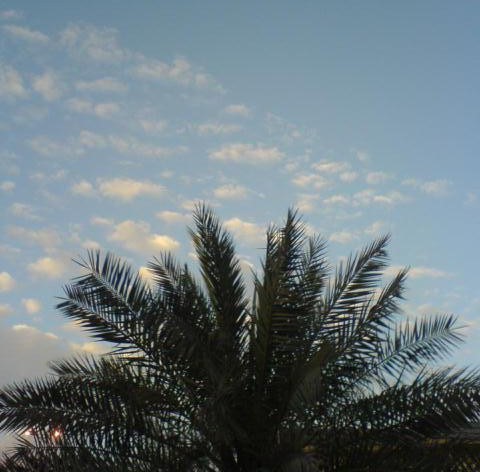 مدرسة و طالبة، في بحث دائم عن لا شئ و عن كل شئ.