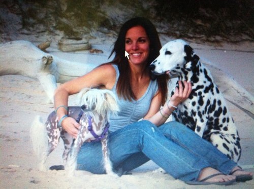 Lisa specializes in creating well mannered companion dogs by using easy to understand, humane dog training and behavior modification techniques.