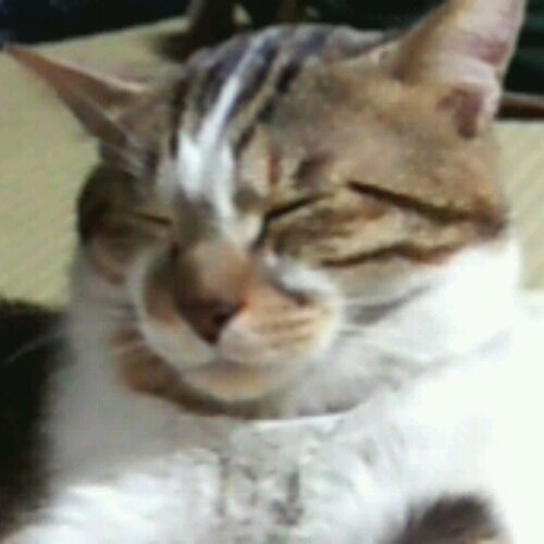 nishimuraさんのプロフィール画像