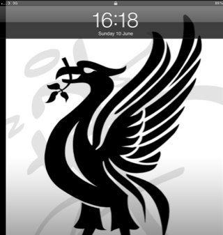 RocheyL4's profile picture. 