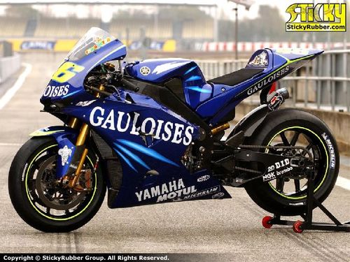 ziasya's profile picture. 