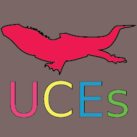 Ultraconserved elements (UCEs) for phylogenomics