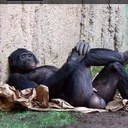 colin bridges - @ductoroncall - Twitter