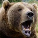 Tyler Hebert - @Tbear1002 - Twitter