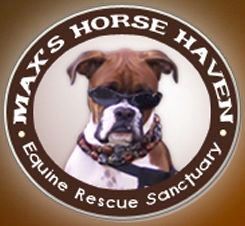 Max’s Horse Haven is a non-profit organization providing shelter, care, sanctuary, rehabilitation for abandoned, abused, neglected or unwanted horses.