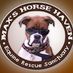 Max's Horse Haven (@maxshorsehaven) Twitter profile photo