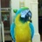 mhenline_0624's profile image