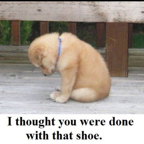 ACE_Fowler's profile picture. 