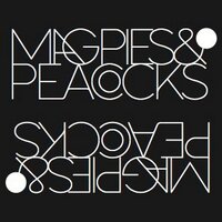 Magpies&Peacocks(@MagpiesPeacocks) 's Twitter Profile Photo