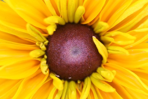 I am currently trained in Reiki, Indian Head Massage, Thai Foot Massage, Gel Nails and I offer coaching/NLP.