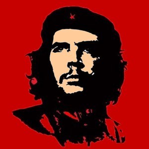 extreme gauche revolutionnaire, indigné, revolté, combat l injustice, respresente tous les peuples opprimés et les minorites, francais d origine kurde alevi..