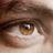 lpoderdlamirada's profile image