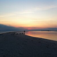 Tangier Island (@tangierva) 's Twitter Profile