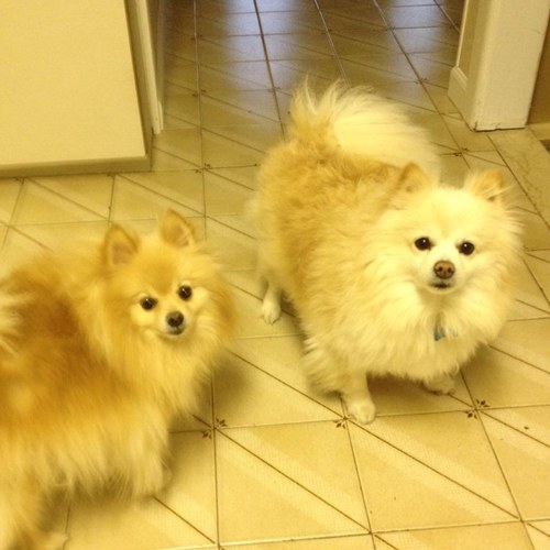 YFasano's profile picture. 