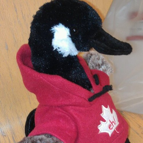 ToysAlive's profile picture. This is the secret lives of Toys.  What they do when you are not looking