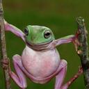 Allan Green - @beanoman - Twitter