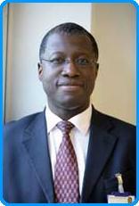 F. Chinegwundoh MBE Profile