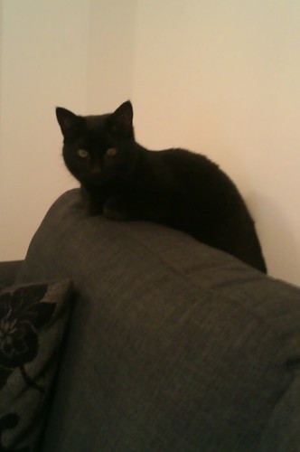 LauraCarter810's profile picture. 