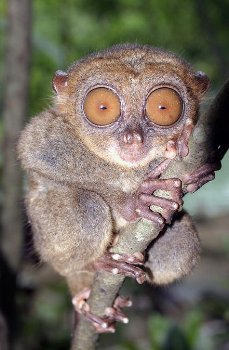 turcanin's profile picture. Everything is easy when you don't have to do it yourself.