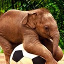 benjamin cameron - @gnkcameron - Twitter