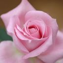 nancy borrero - @decornan - Twitter