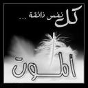 tamer qatrawi (@0599201345) Twitter