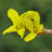 o6303377's profile image