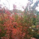 marcy mcleod - @maricaelle - Twitter