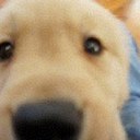 Harold Elder - @haroldelder - Twitter