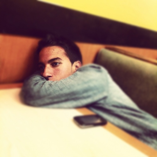 RareJolteon's profile picture. chasing foxes