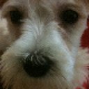 sydney jefferson - @donthateonsyd - Twitter