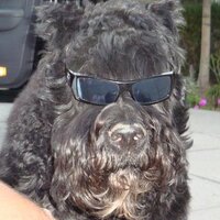 Cort Townsend (@cortown) 's Twitter Profile