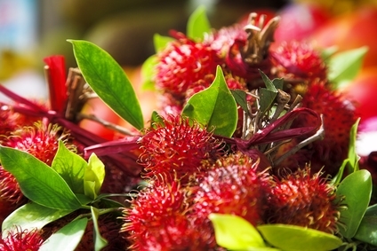 We Sell exotic fruits  like Cheimoya,mangosteen, passon fruits,rambutan,Lychee and 30 more kind of exotic fruits to try.