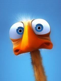 EncikHebat's profile picture. satu satunya sepisis burung yang tidak mempunyai sayap dan hanya tergangtung *kwakk kwakk *