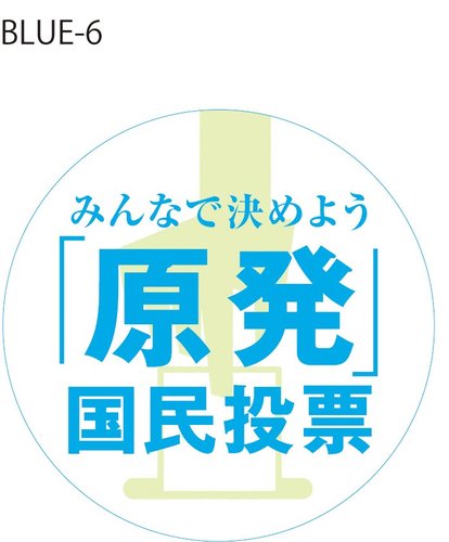 原発の是非という重要問題について、福島原発事故を経験した日本だからこそ、主権者である私たち一人ひとりの国民が当事者意識を持ち、また実質的な決定権を握るべきと考え、「原発」国民投票の実施を訴えています。諮問型の原発国民投票を実施するために、原発国民投票法の制定を目指しています。