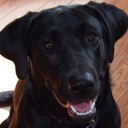 Gary Haskell - @texasguy346 - Twitter