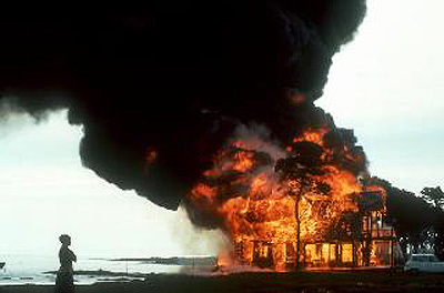 asian_chaos's profile picture. 言論の自由があるうちに言いたいことを言おう