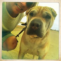 alexandra mcmillan (@alexandramcm) 's Twitter Profile