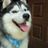 cofty's profile image