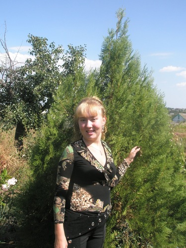 moonrider618's profile picture. 