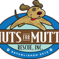 NutsforMuttsRescue (@nfmrescue) Twitter profile photo